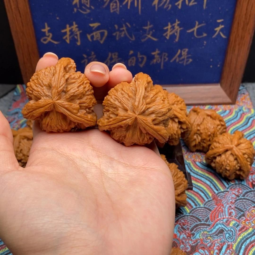 【闪购商品】山*白狮