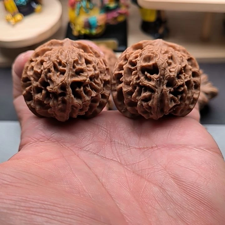 核桃原装苹果园42尺