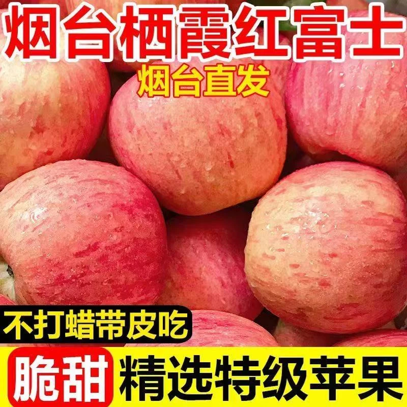 烟台栖霞苹果正宗山东红富士产地直发脆甜多汁当季新鲜水果好吃