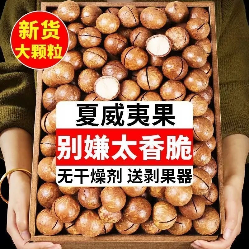 【精选夏威夷果无坏果】奶香奶味重夏威夷果宜开口夏威夷果送开口器