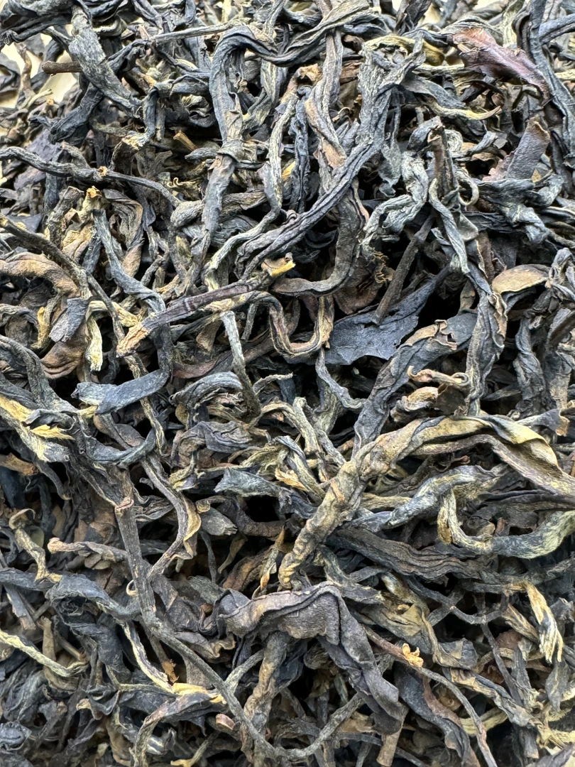 【胡永康-大朝山菖蒲塘组8号】2024年头春古树红茶散茶 正装试喝