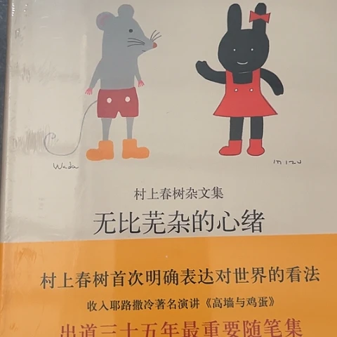 无比芜杂的心绪8闪购