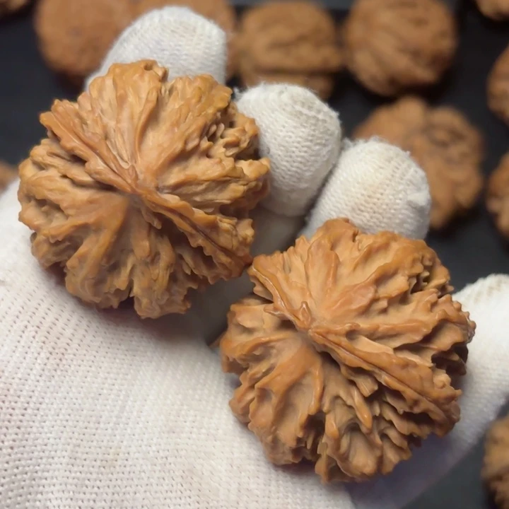 文玩核桃吊坠风***由秦岭野生灯笼15