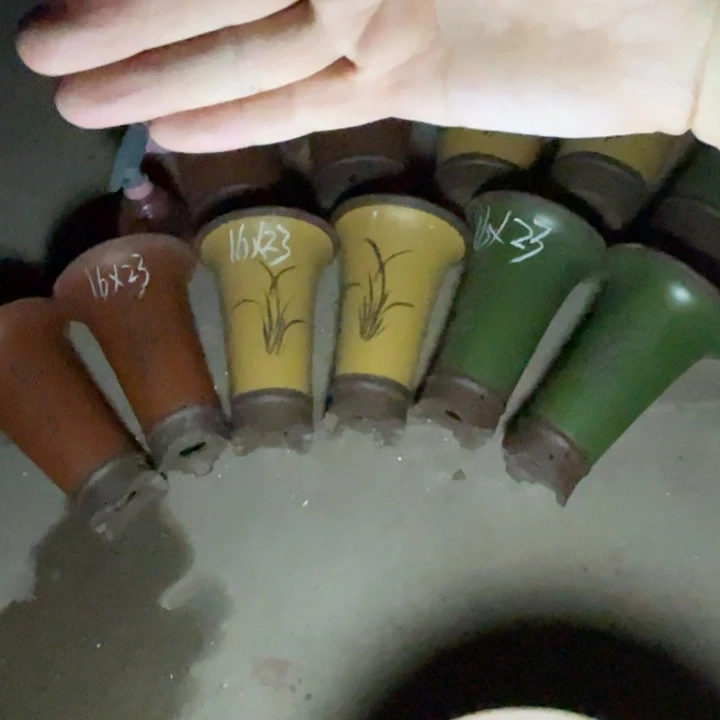 周深周深周深周深周深