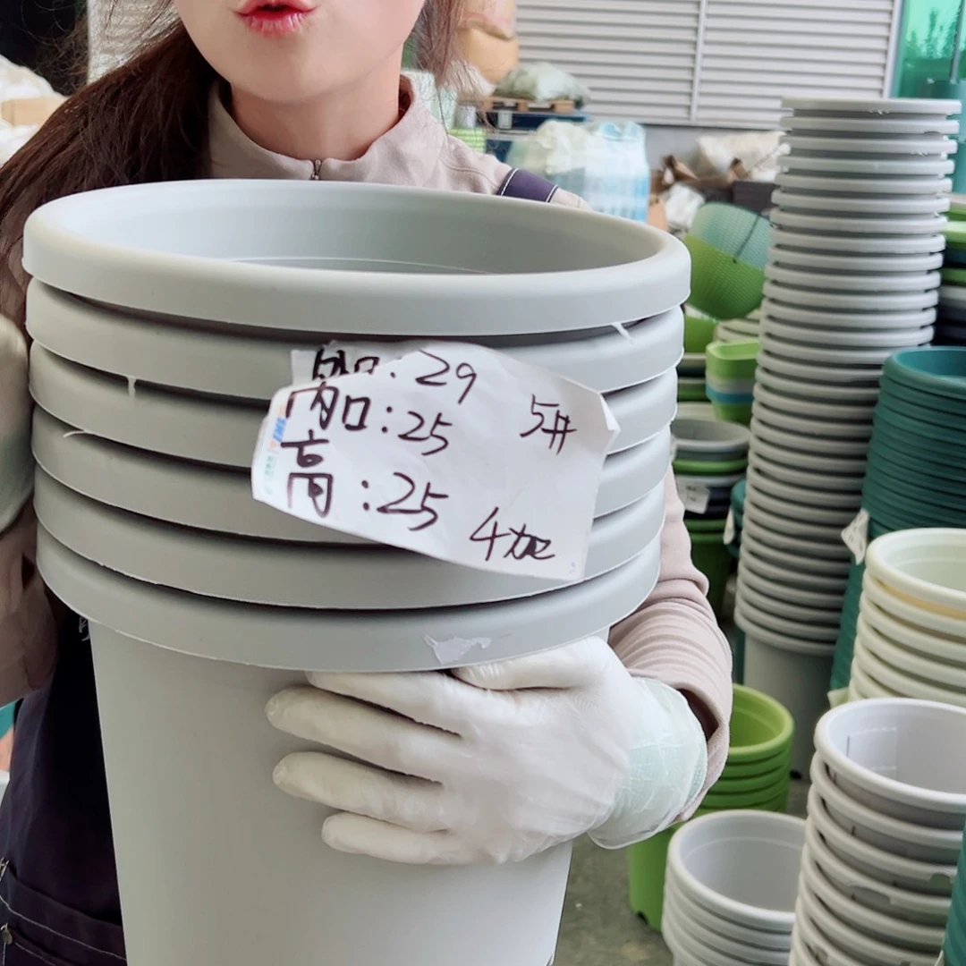 四季盆5#灰白色6个无托