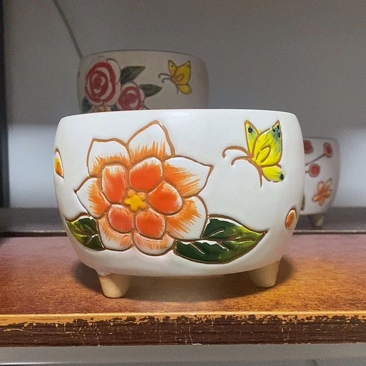韩式多肉植物花盆