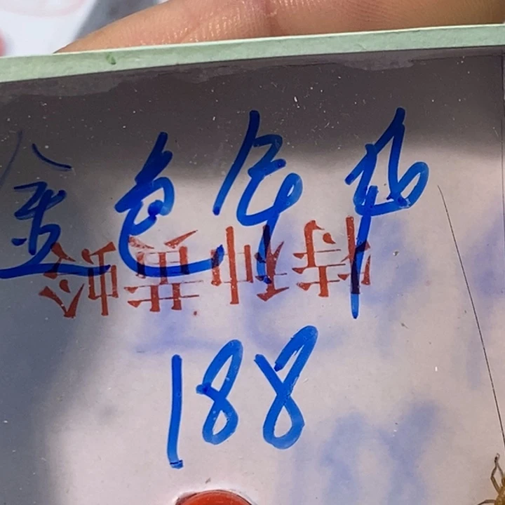 金***！蟋蟀蝈蝈我在外面吃饭呢