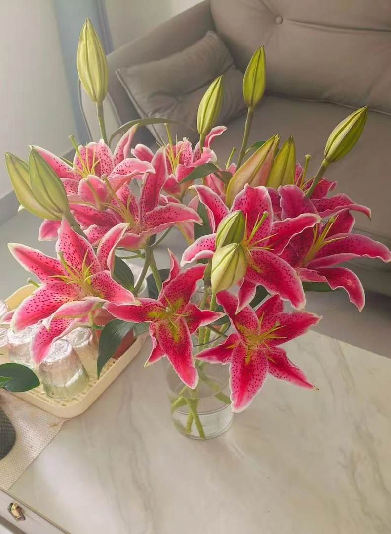 草莓沐恩香水百合（冻坏拒收不售后）