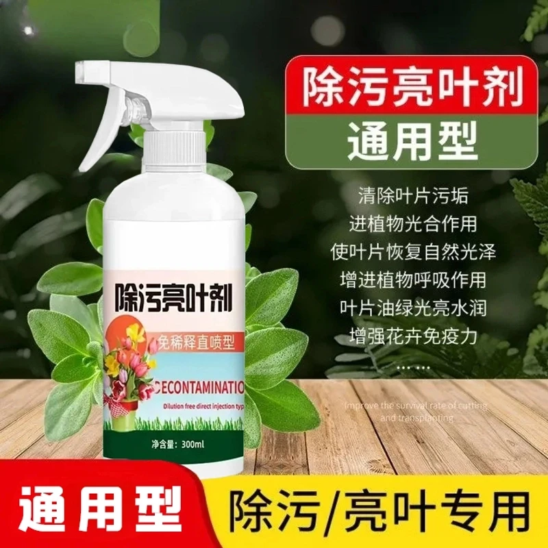 【花卉除污亮叶剂】一喷净植物叶面光亮清洁洗剂不伤叶免稀释叶面肥