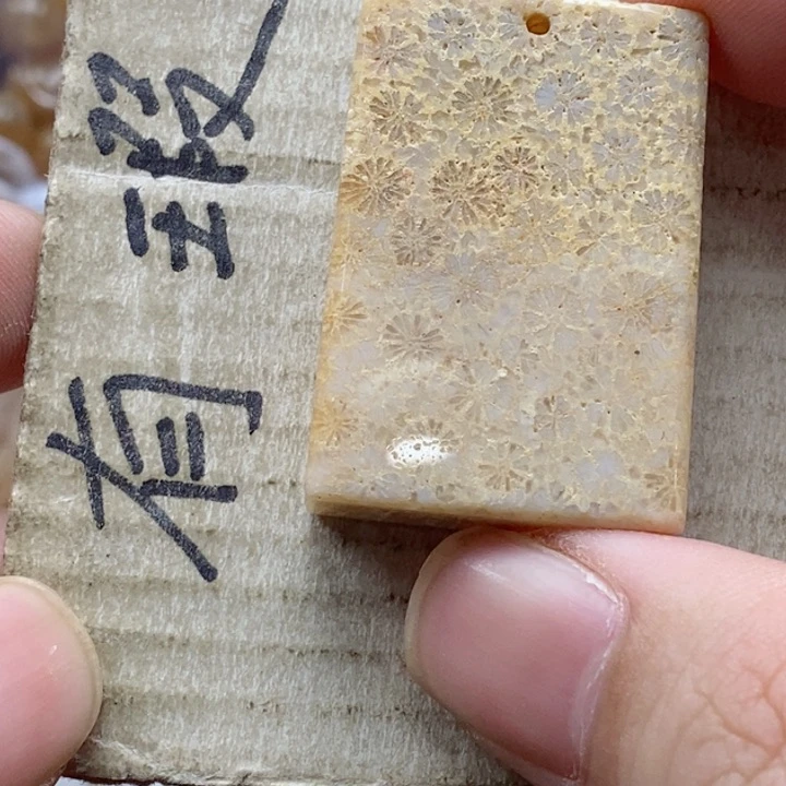 硅化珊瑚（珊瑚玉）颈饰未镶嵌溪****e小吊坠