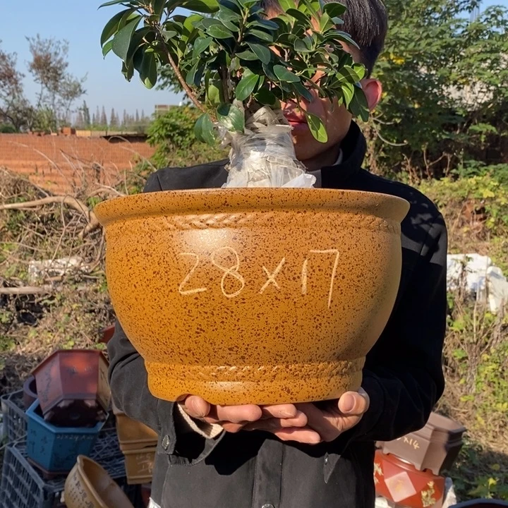 花盆紫砂特价包邮送盒