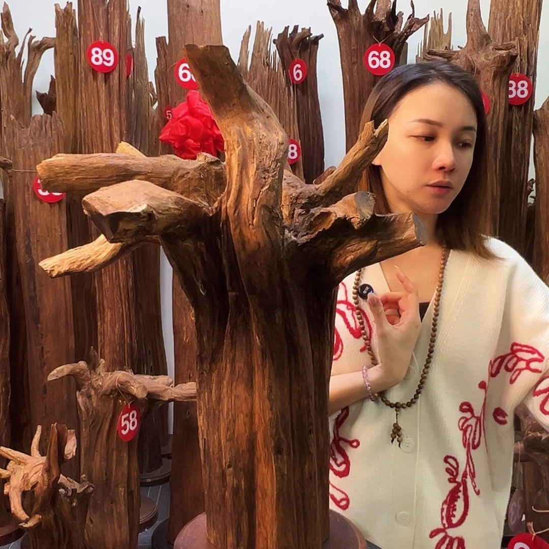 摆件沉香天然沉香原材料高品质