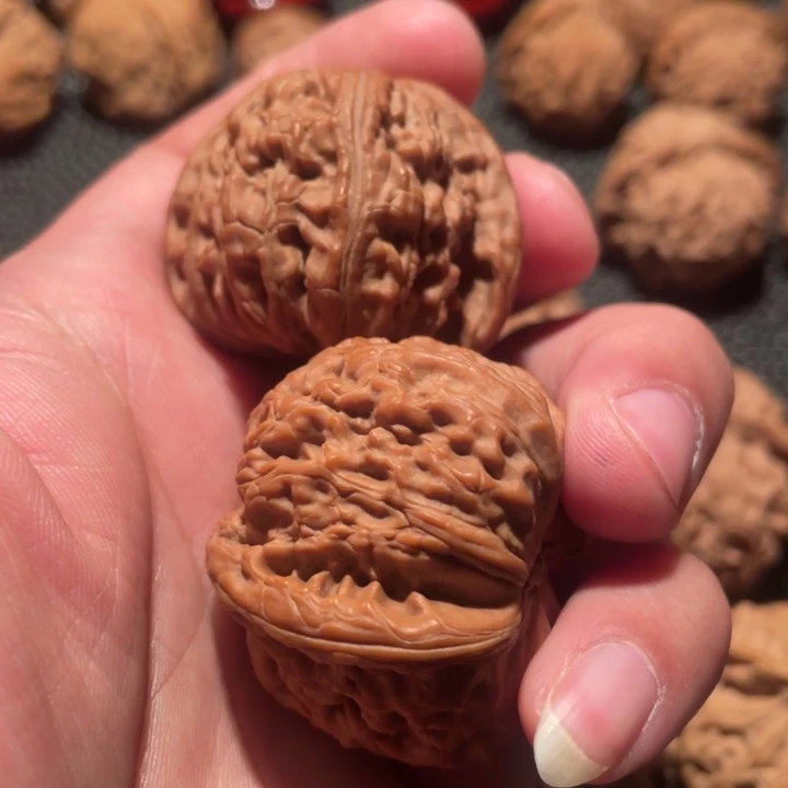 文玩核桃把件小*炉白狮子