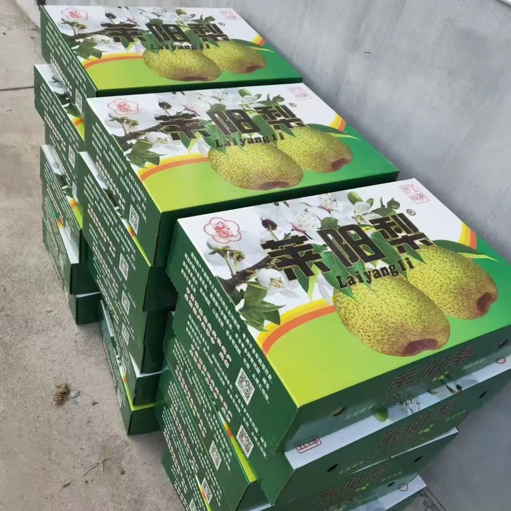 莱阳梨慈梨精品果脆甜爽口