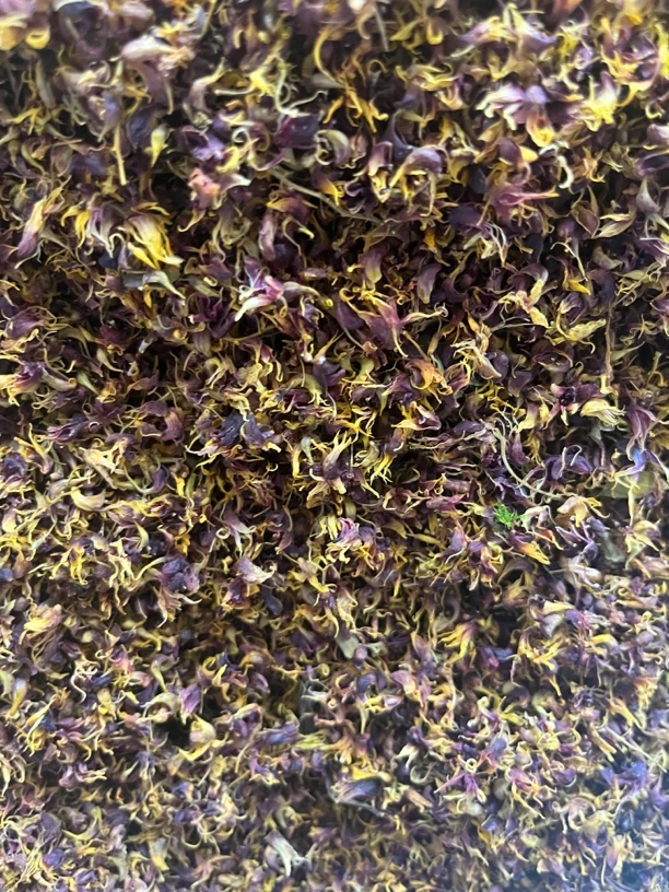 珍虫石斛花50克一瓶