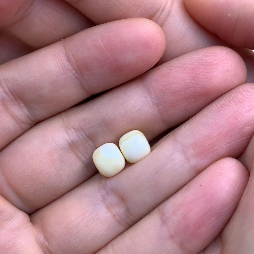 孟***！琥珀未镶嵌裸石蜜蜡
