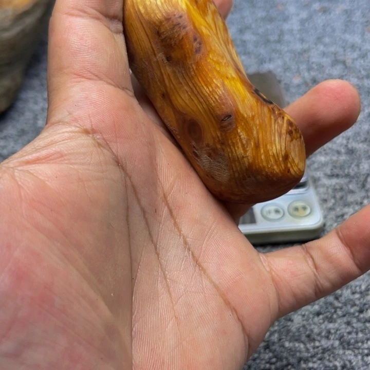 柏木（崖柏）崖柏55