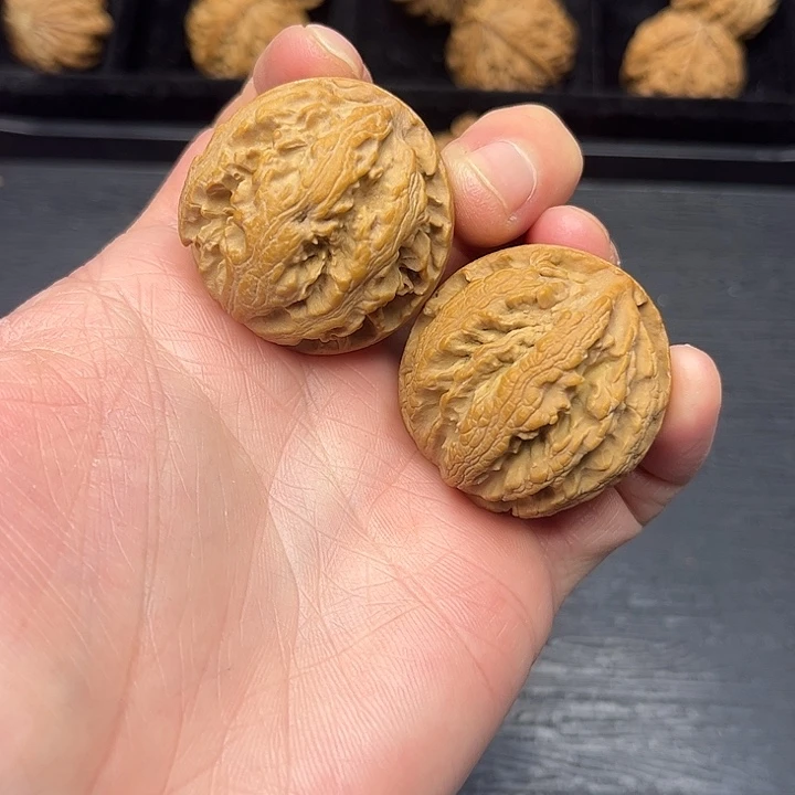 核桃突突突突突突突突