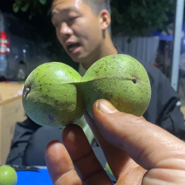吊坠文玩核桃L*4
