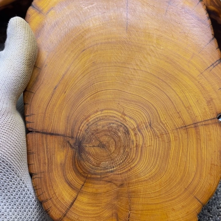 柏木（崖柏）崖柏333