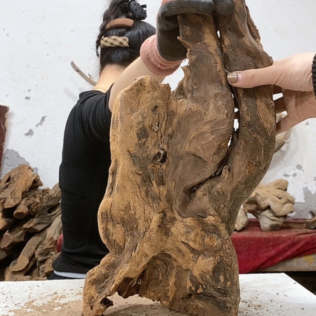 【闪购商品】柏木A****能我们都是好孩子