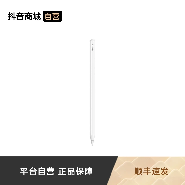 Apple Pencil (第二代) 手写笔