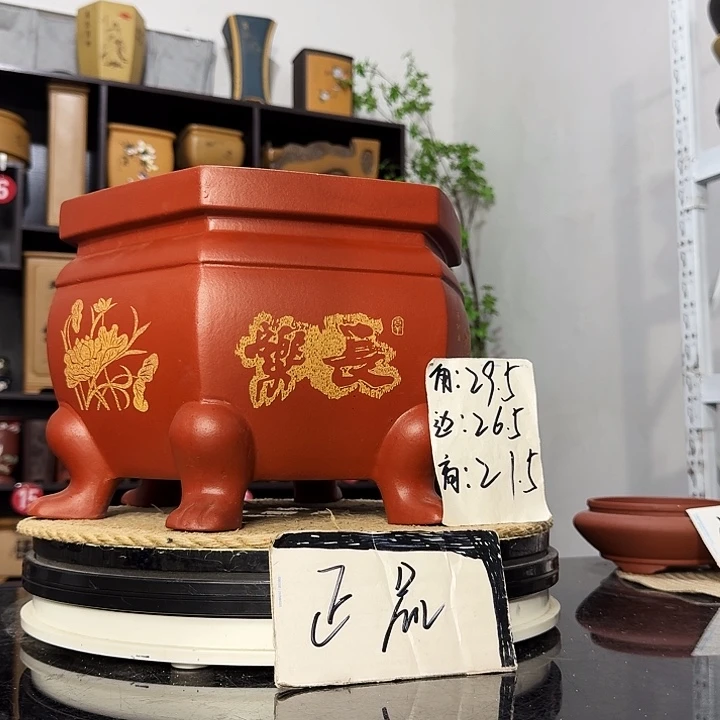 紫砂花盆盆友记紫砂花盆