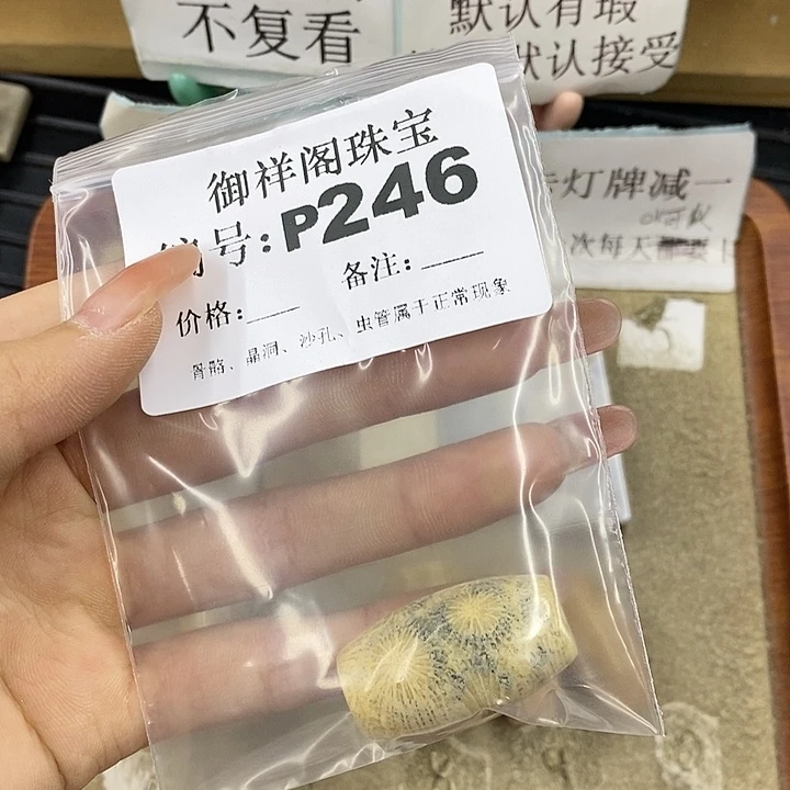 硅化珊瑚（珊瑚玉）未镶嵌颈饰鹅**e