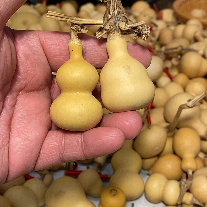 大**利精品葫芦手把葫芦16