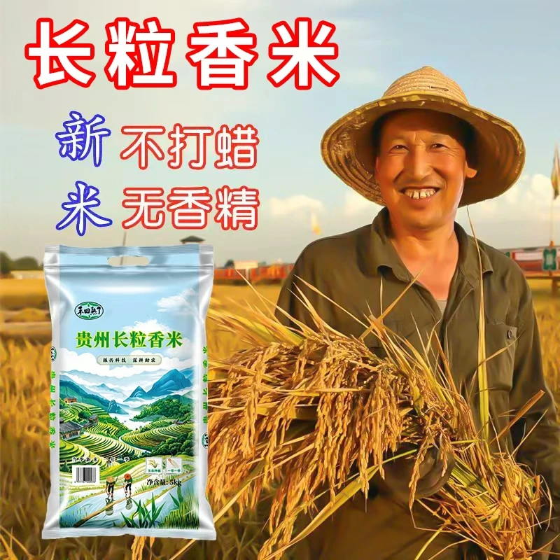 大米猫牙长粒香米10斤高山梯田香米农家现磨细长软糯农家新大米