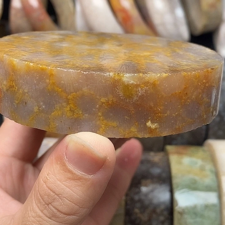 硅化玉未镶嵌颈饰
