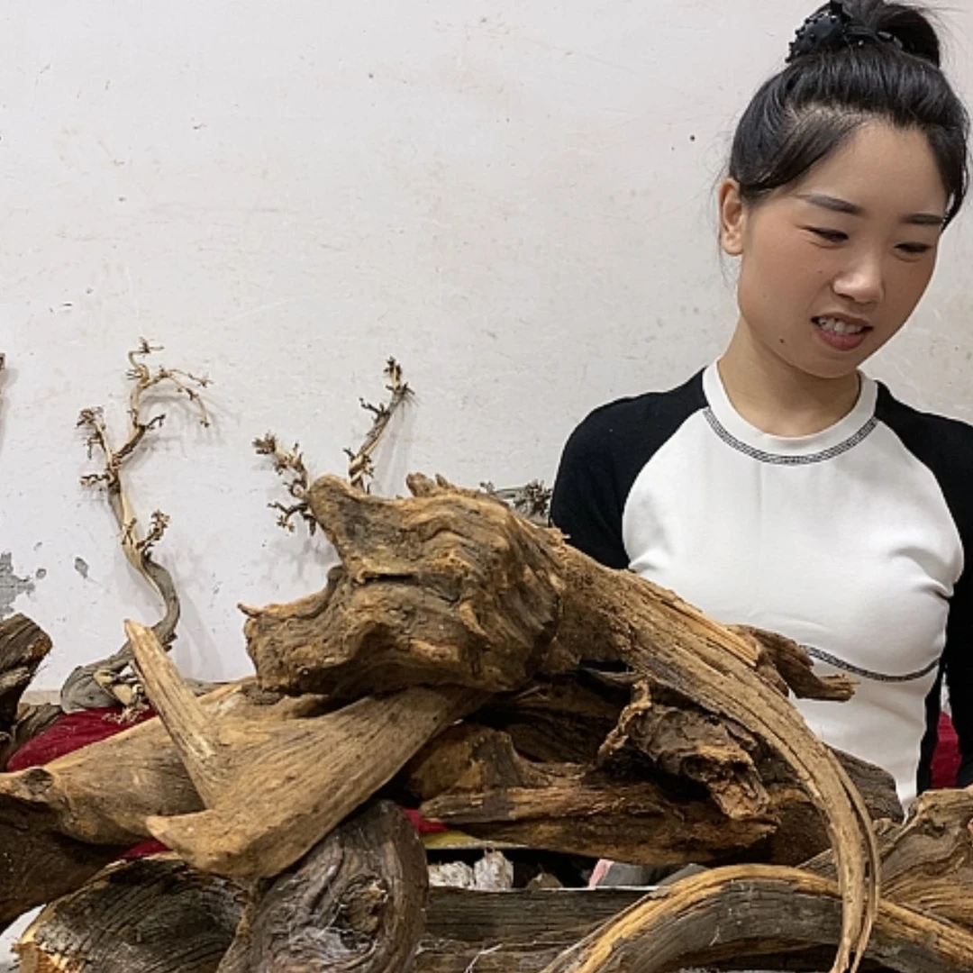【闪购商品】柏木亲*哥我们都是好孩子