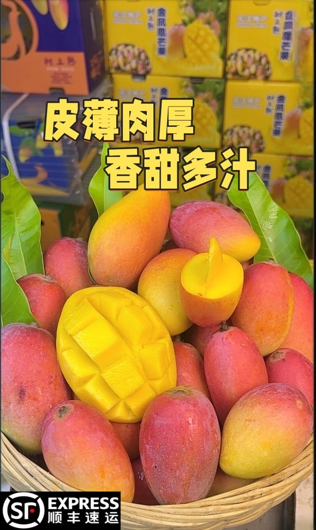 【顺丰包邮】云南金凤凰芒贵妃芒现摘现发5斤/8斤皮薄肉厚香甜多汁