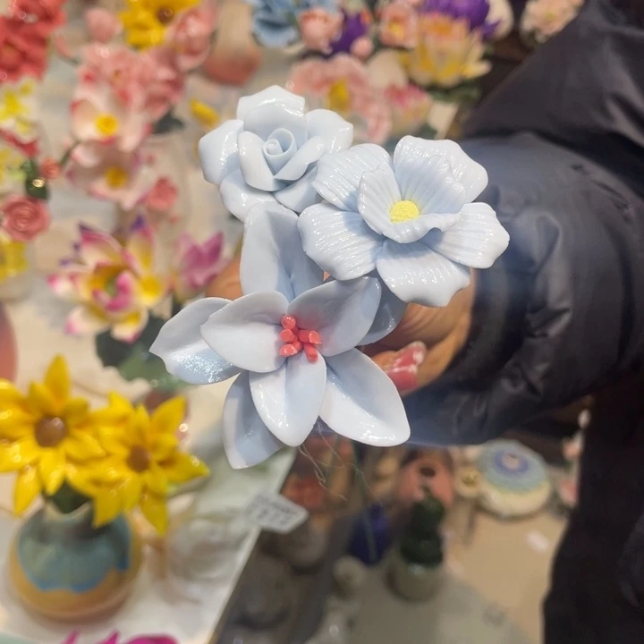 瓷片8858855885555566555662