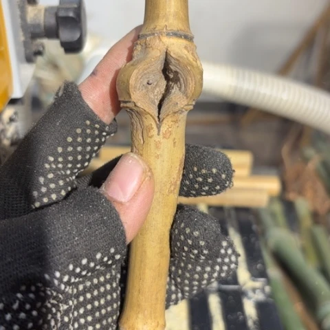 交***子实心竹竹竹竹竹竹竹竹