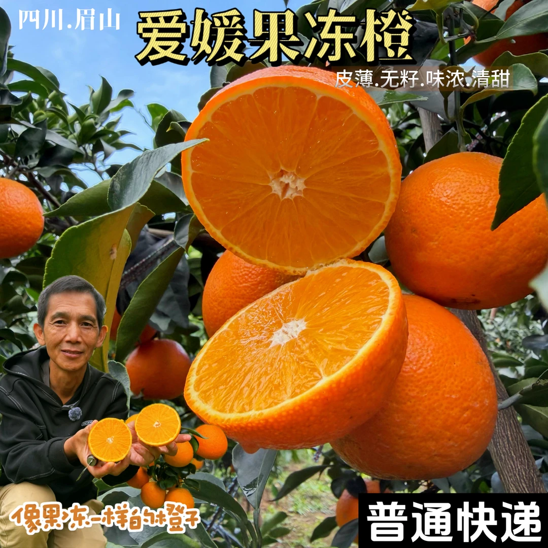【普通快递】四川爱媛果冻橙 皮薄无籽肉嫩爆汁新鲜水果【萝卜大叔】