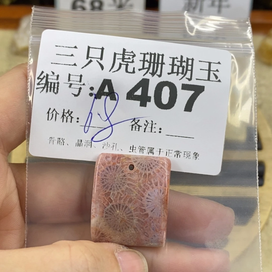 硅化珊瑚（珊瑚玉）1未镶嵌元*