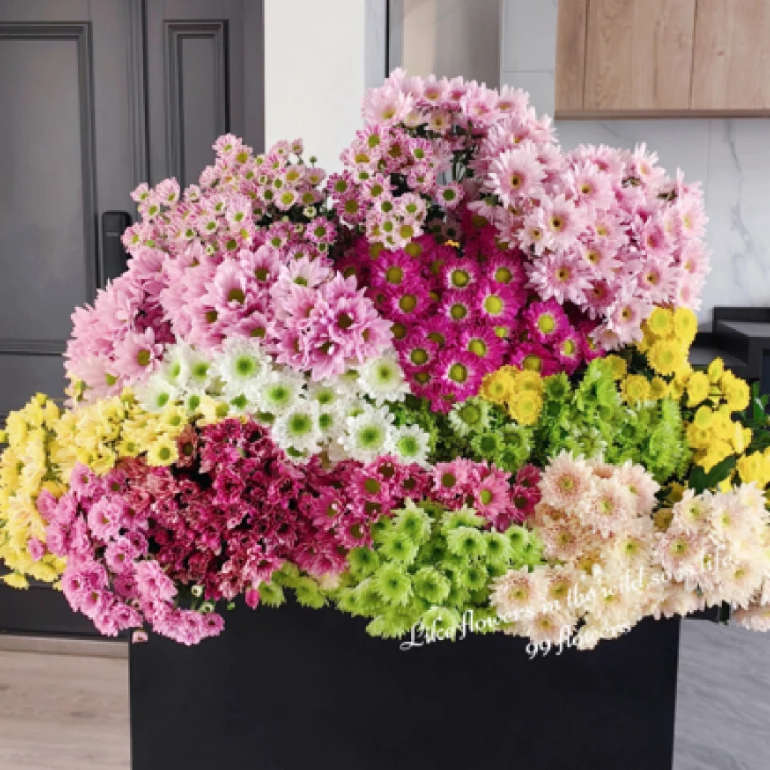 【宠粉福利】混搭配色小雏菊居家瓶插花3-4种颜色随机搭配