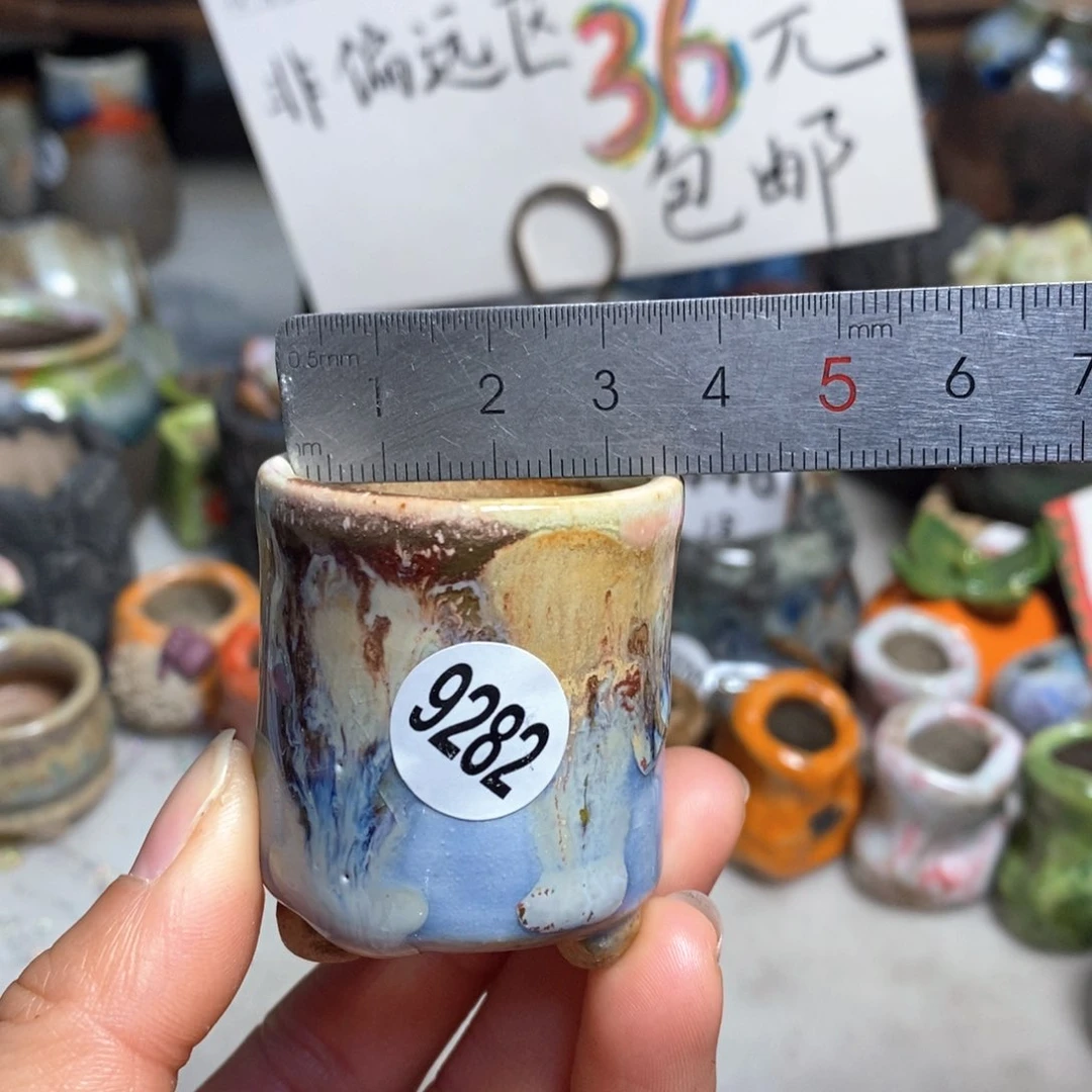 拍5送一个小礼物花盆