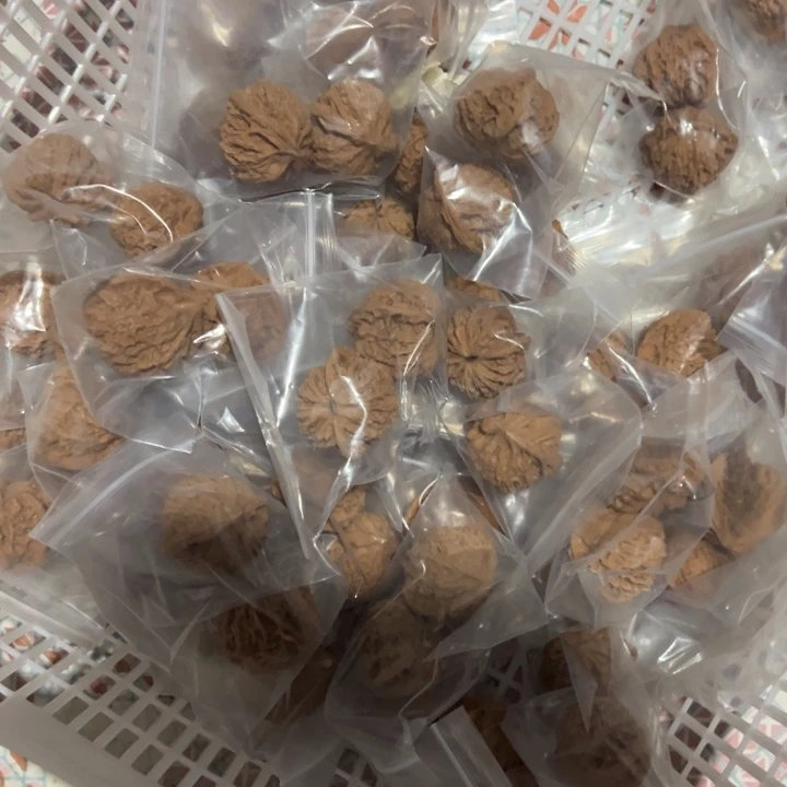 文玩核桃吊坠火龙朱