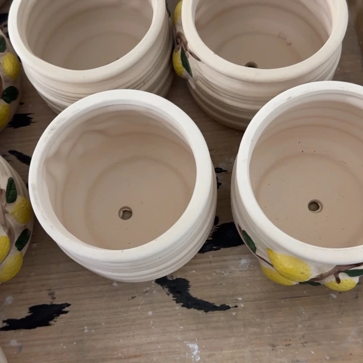 花盆花盆花盆花盆