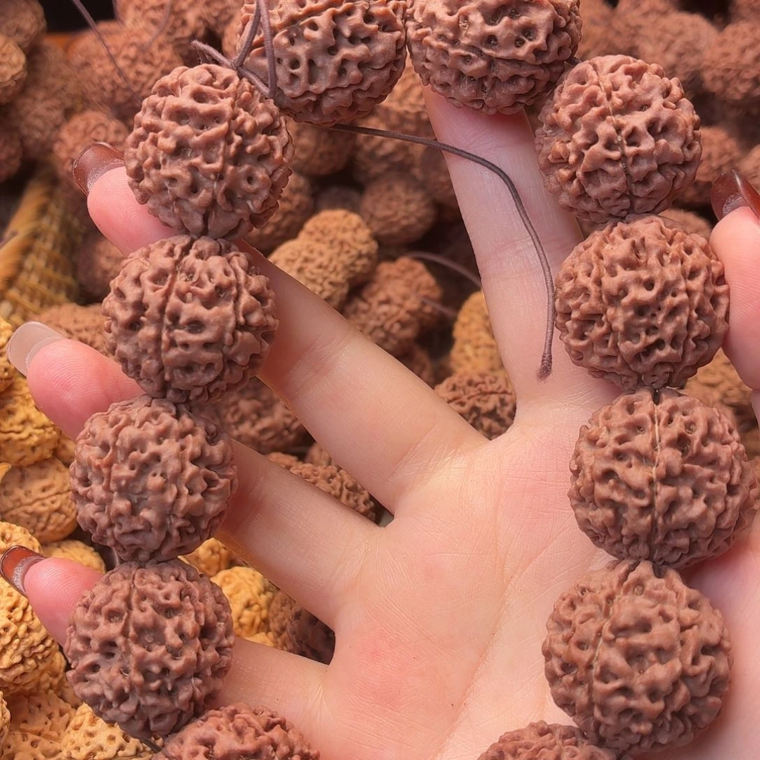 手串金刚菩提七瓣  25  28号