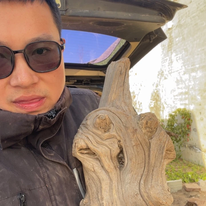 红***光柏木（崖柏）来来来，啦啦啦啦啦啦啦