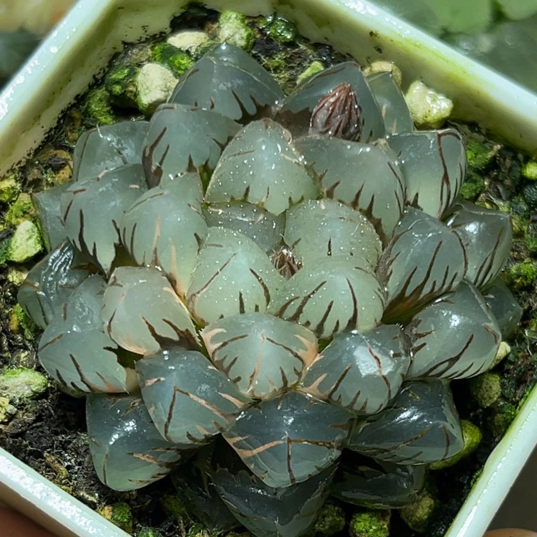 恭喜发财大吉大利0319