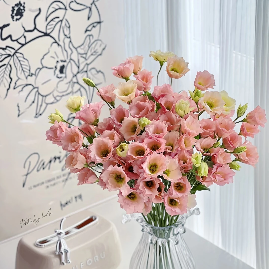 星星杏荷基地种植现釆现发