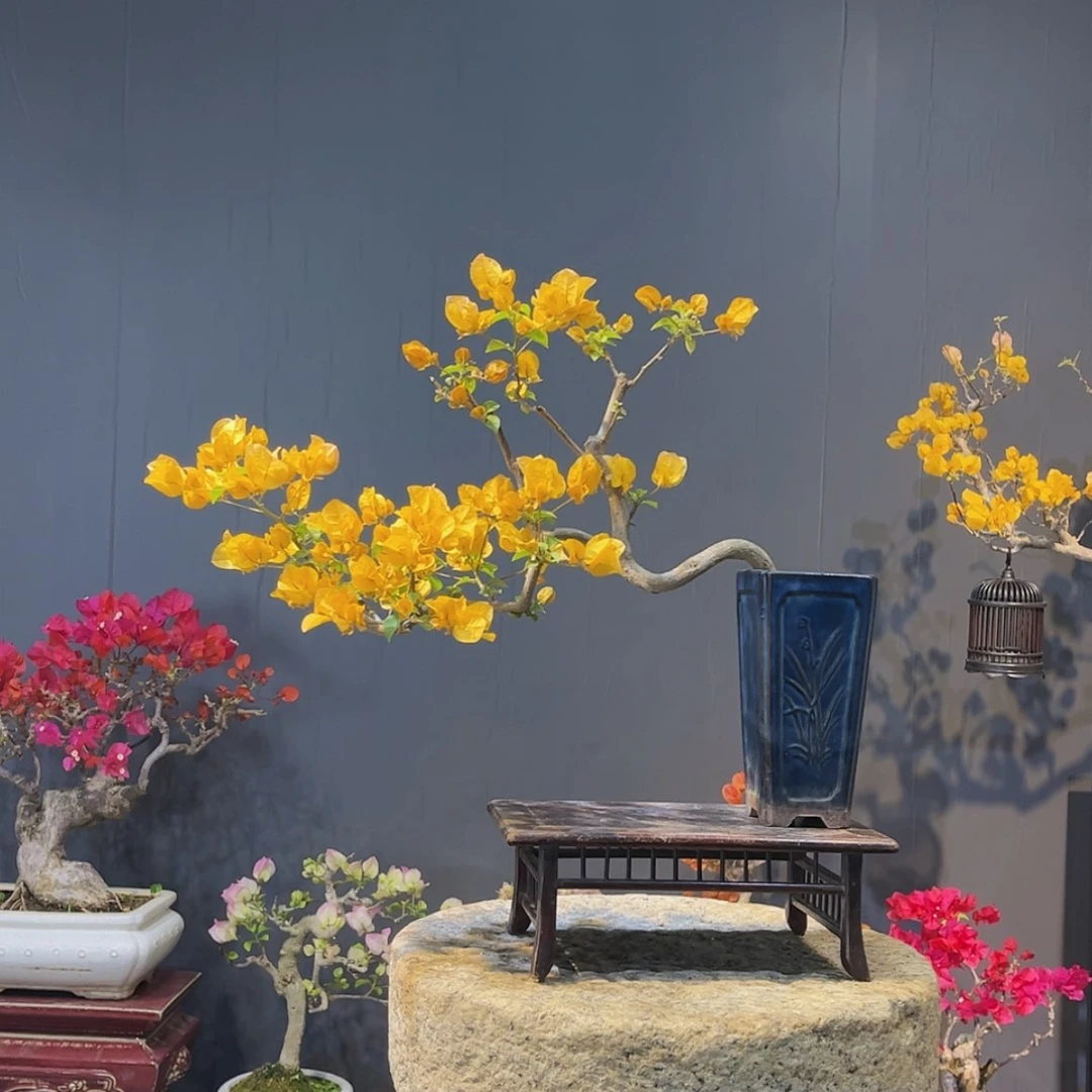 【闪购商品】完全开放静**慧