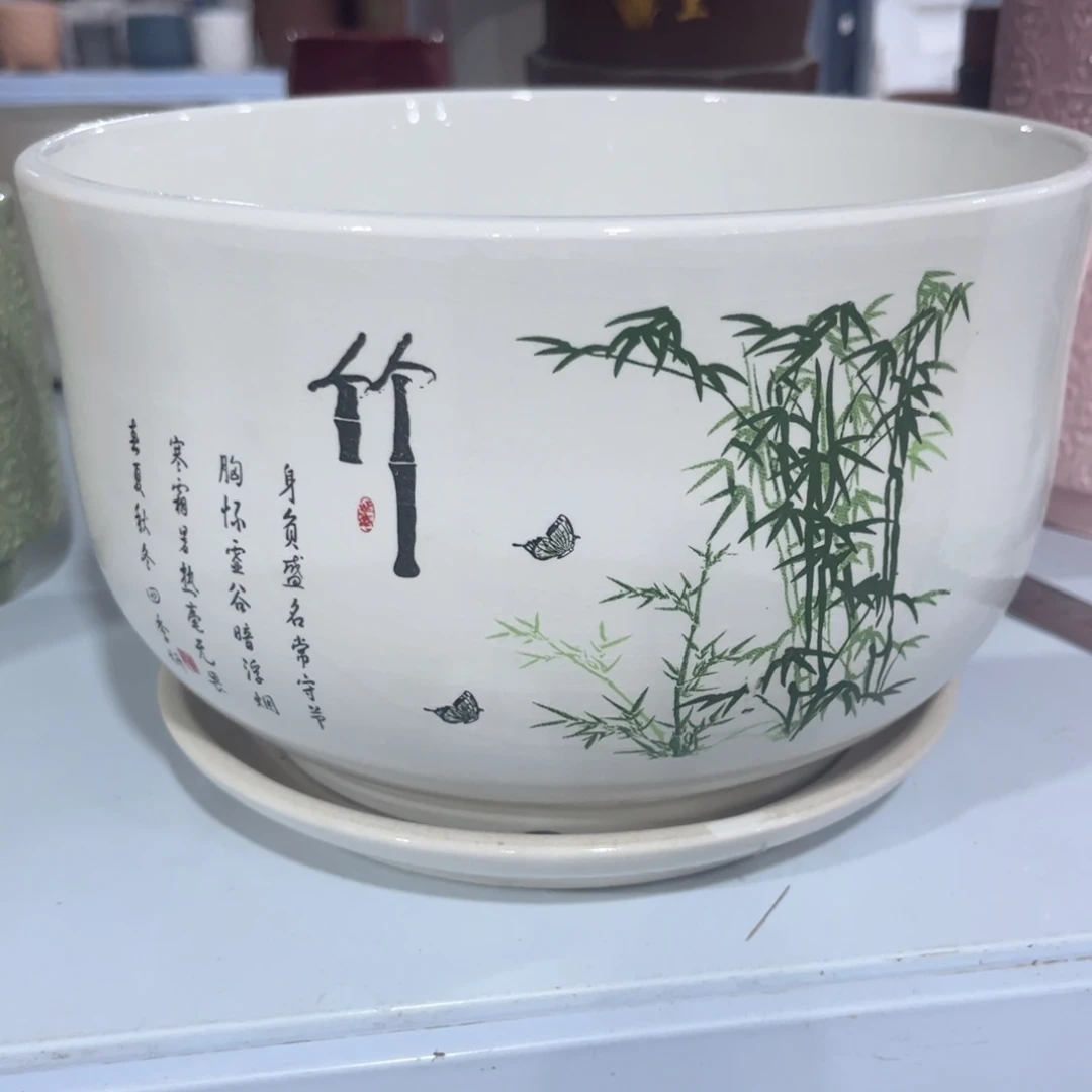 多肉植物花盆植物