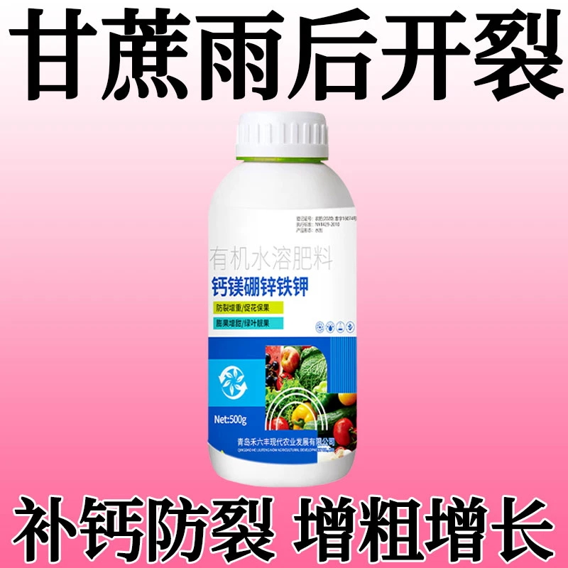 甘蔗防裂果专用防裂甘蔗专用裂果破皮一喷果不裂防落素裂果消