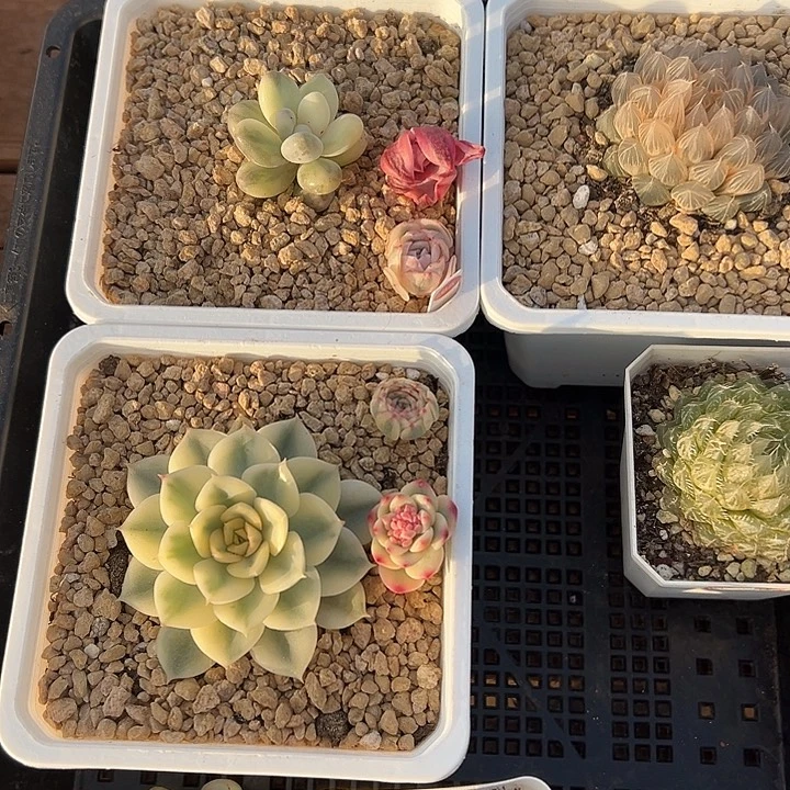 保温箱，，，，，，，，，，