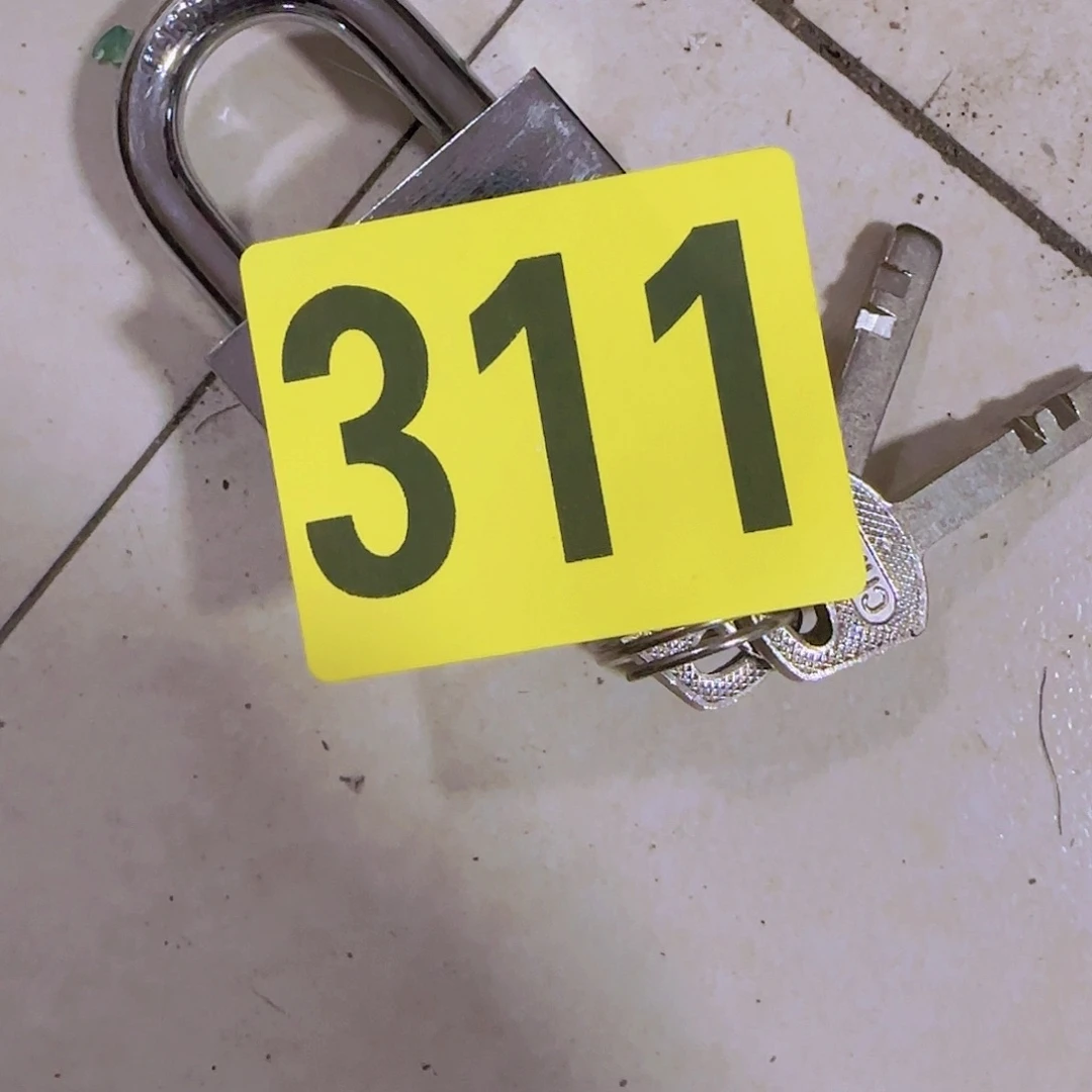 香榧木越***！摆件311